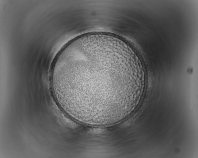 X0000115631278200911241638