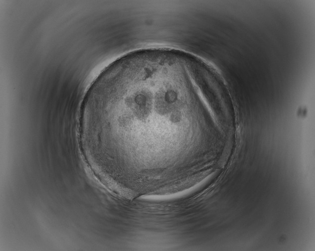 X0000115631279200911241638