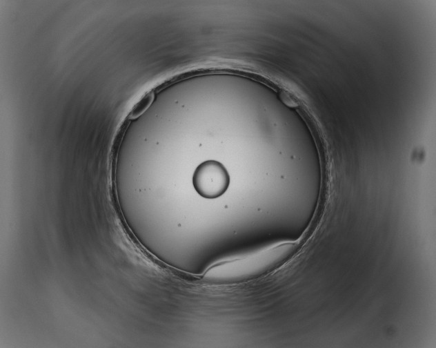 X0000115631280200911241638