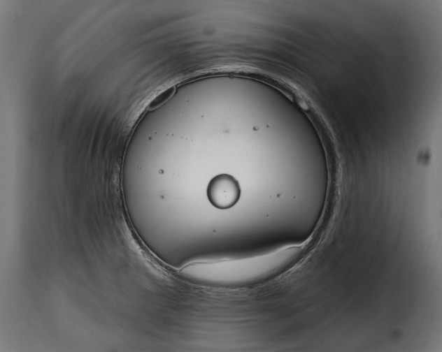 X0000115631281200911241638