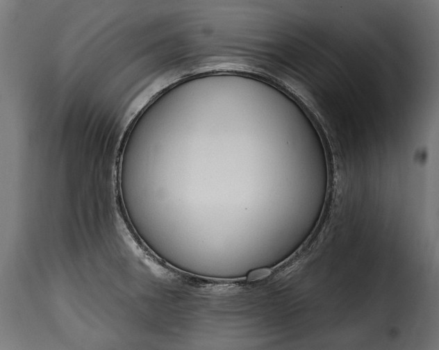 X0000115631282200911241638