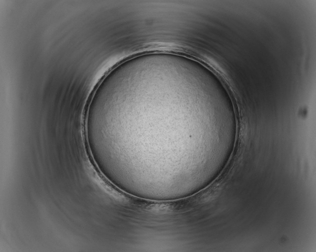 X0000115631283200911241638