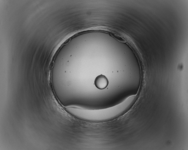 X0000115631284200911241638