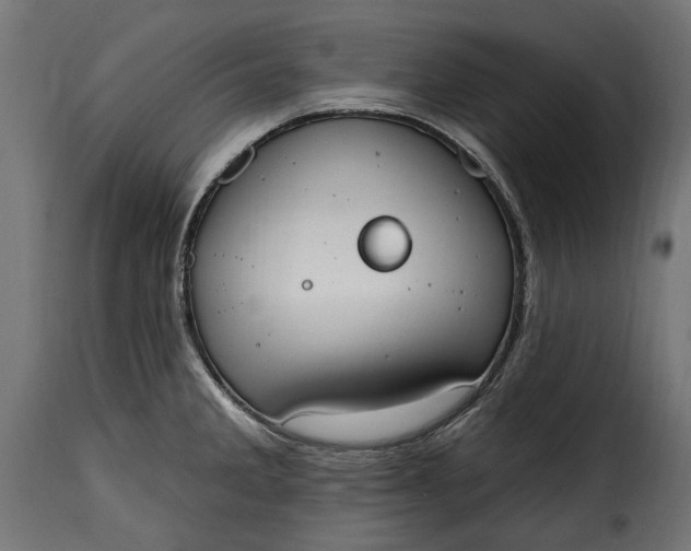 X0000115631285200911241638