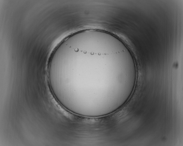 X0000115631286200911241638