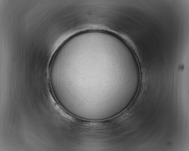 X0000115631287200911241638