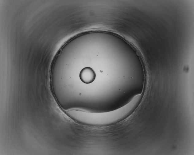 X0000115631288200911241638