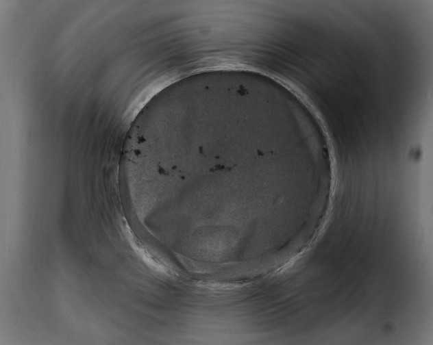 X0000115631289200911241638