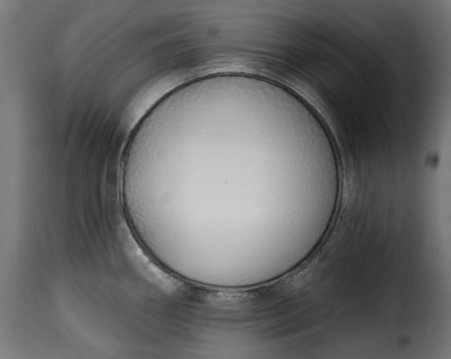 X0000115631290200911241638