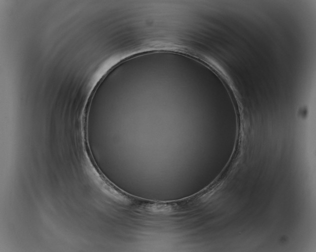 X0000115631291200911241638