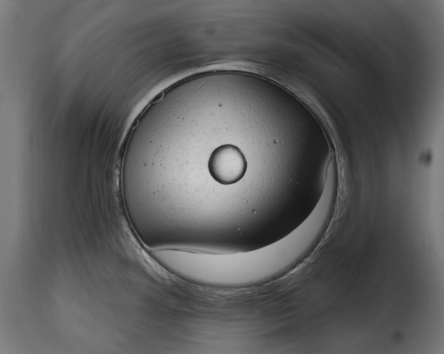 X0000115631292200911241638