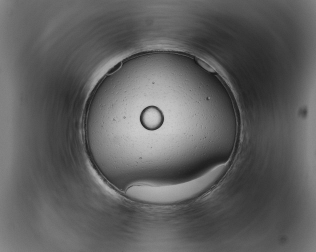 X0000115631293200911241638