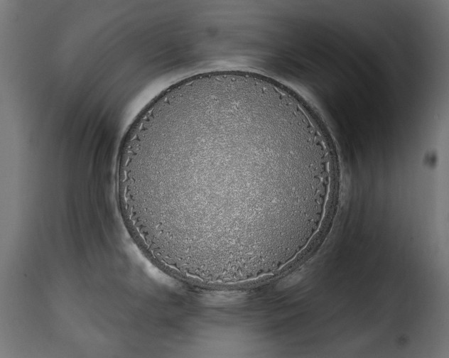 X0000115631294200911241638