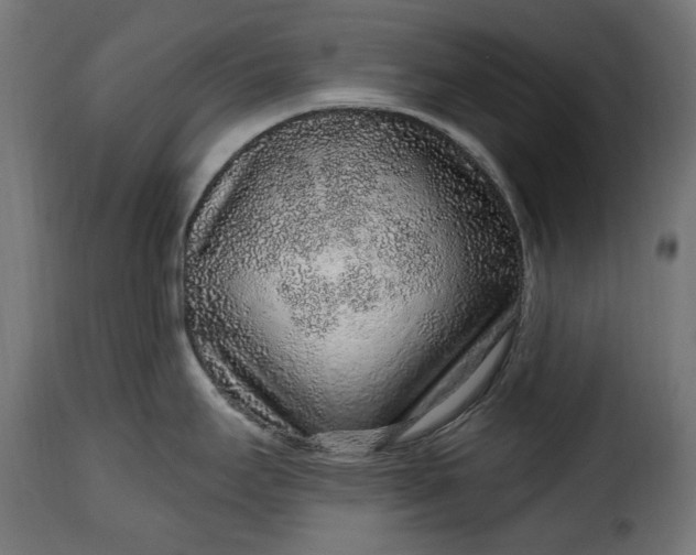 X0000115631295200911241638