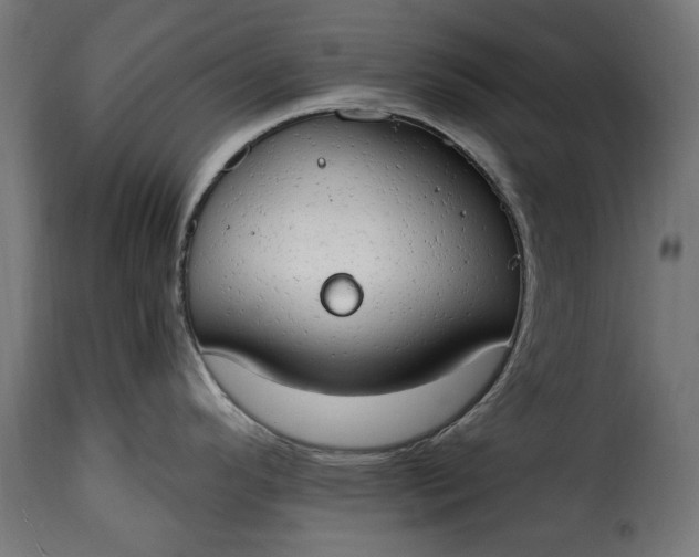 X0000115631296200911241638