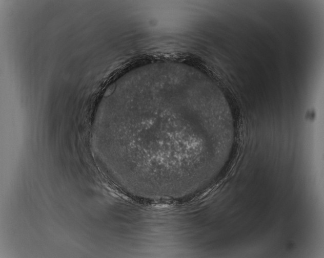 X0000115631297200911241638