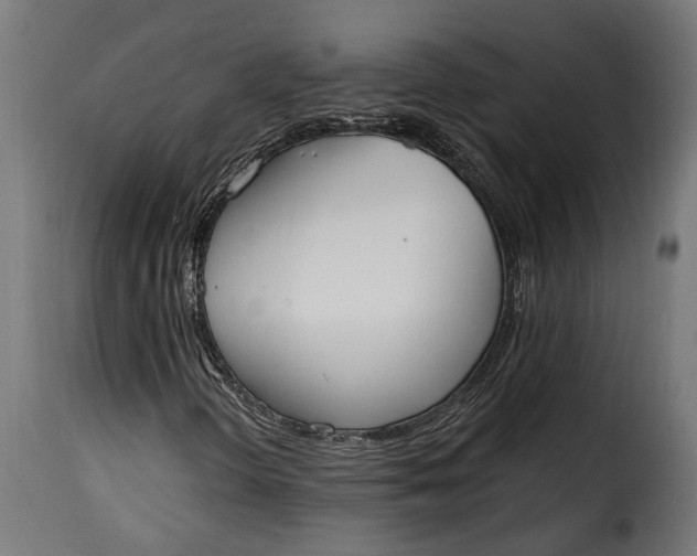 X0000115631298200911241638