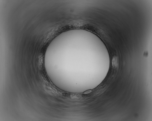 X0000115631299200911241638