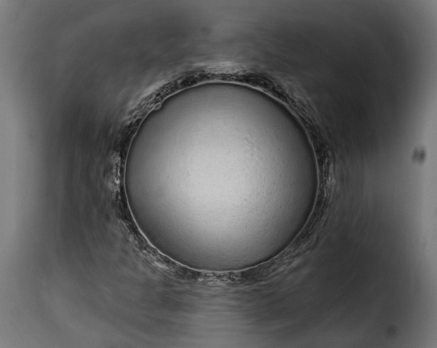 X0000115631301200911241638