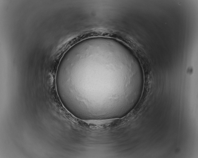 X0000115631302200911241638