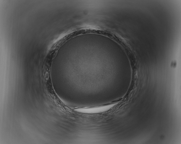 X0000115631303200911241638