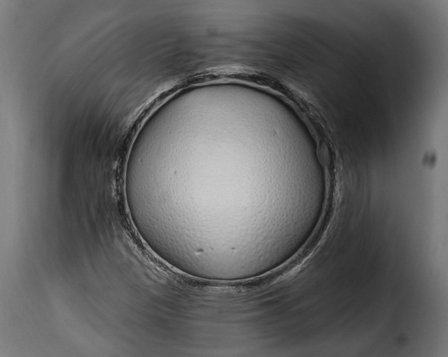 X0000115631305200911241638