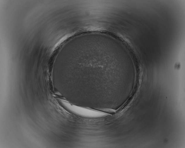 X0000115631306200911241638