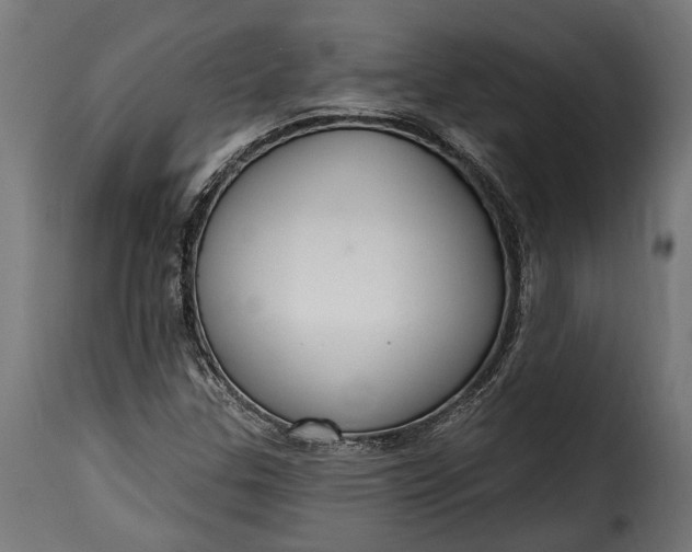 X0000115631307200911241638