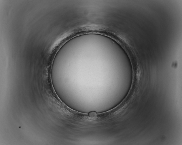 X0000115631309200911241638