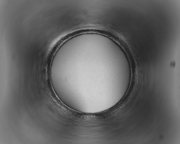 X0000115631310200911241638