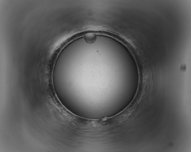 X0000115631311200911241638