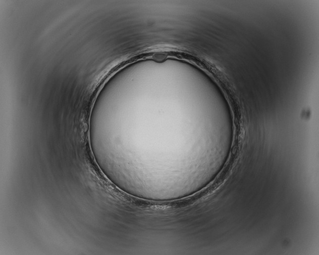 X0000115631313200911241638