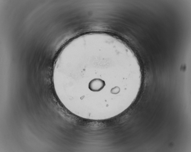 X0000115631314200911241638