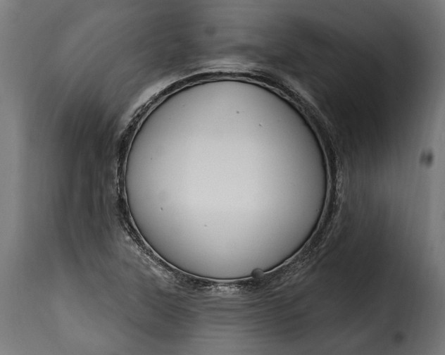 X0000115631315200911241638