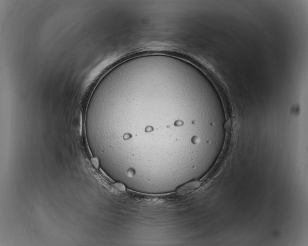 X0000115631317200911241638