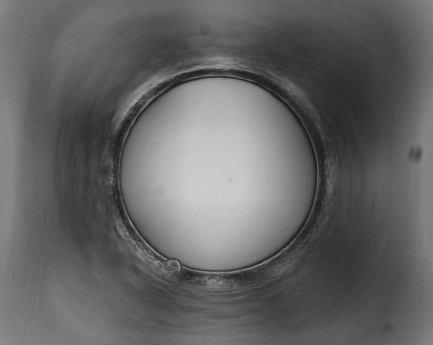 X0000115631318200911241638