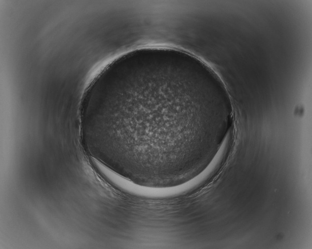 X0000115631319200911241638