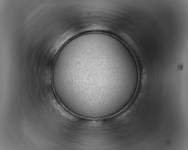 X0000115631321200911241638