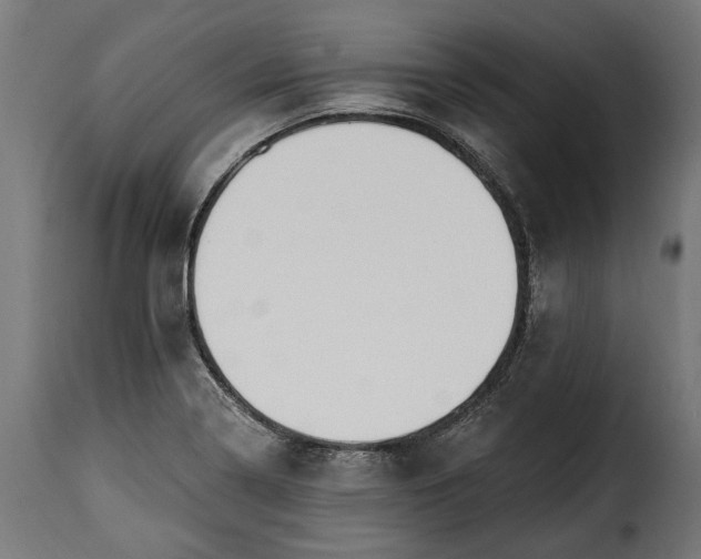 X0000115631322200911241638