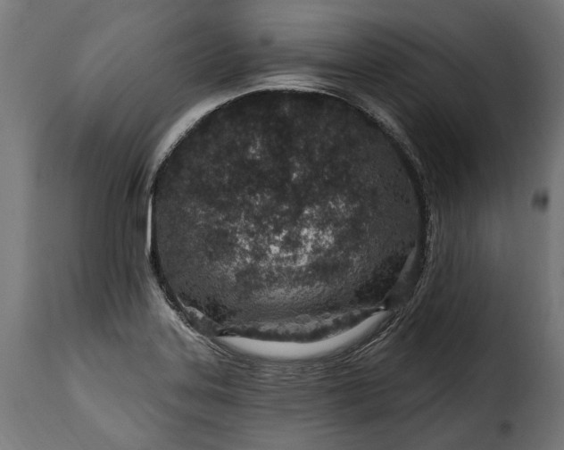 X0000115631323200911241638