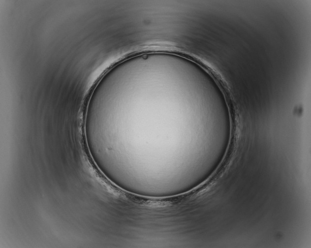 X0000115631325200911241638