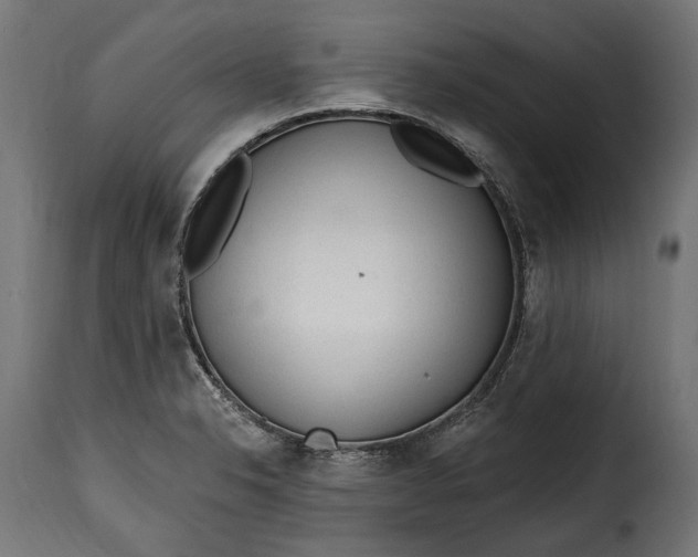 X0000115631326200911241638