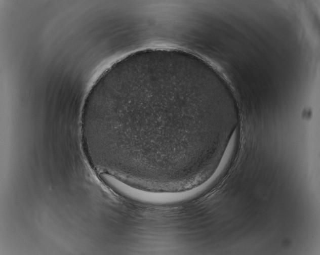 X0000115631327200911241638