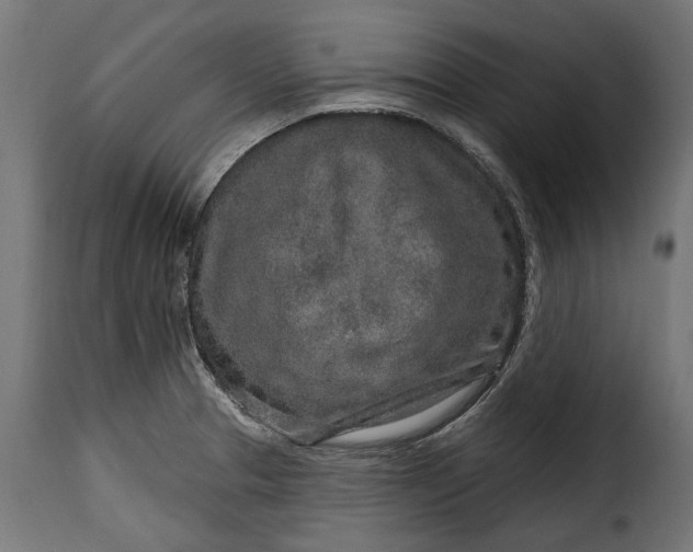 X0000115631329200911241638