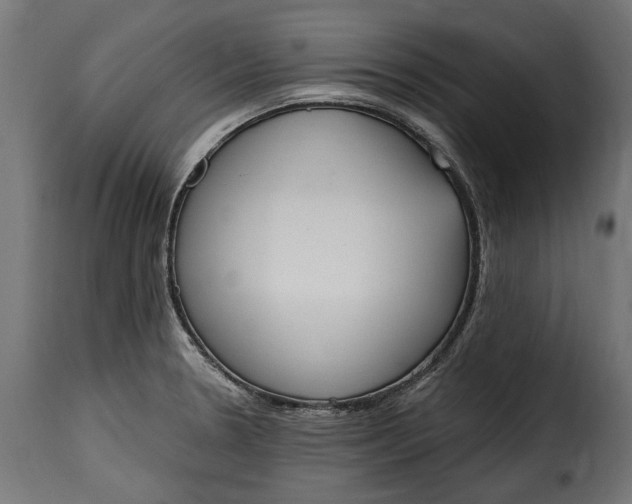 X0000115631330200911241638