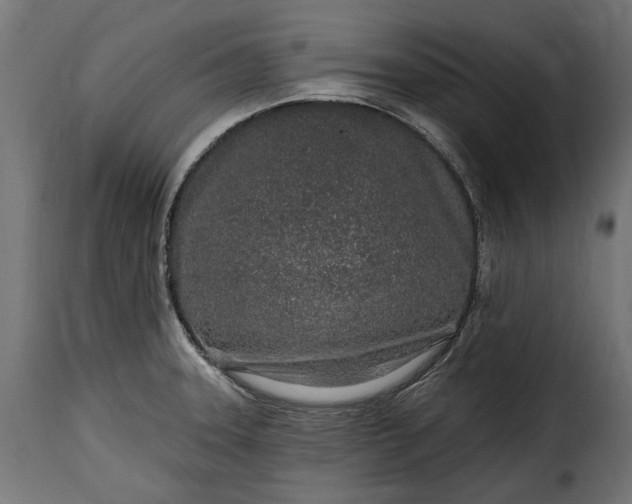 X0000115631331200911241638