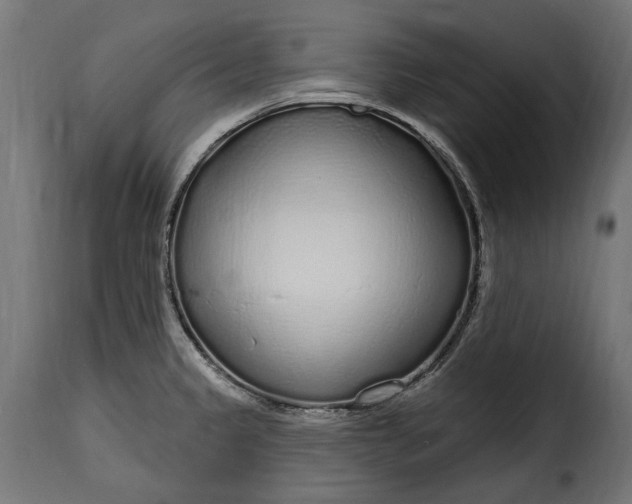 X0000115631333200911241638