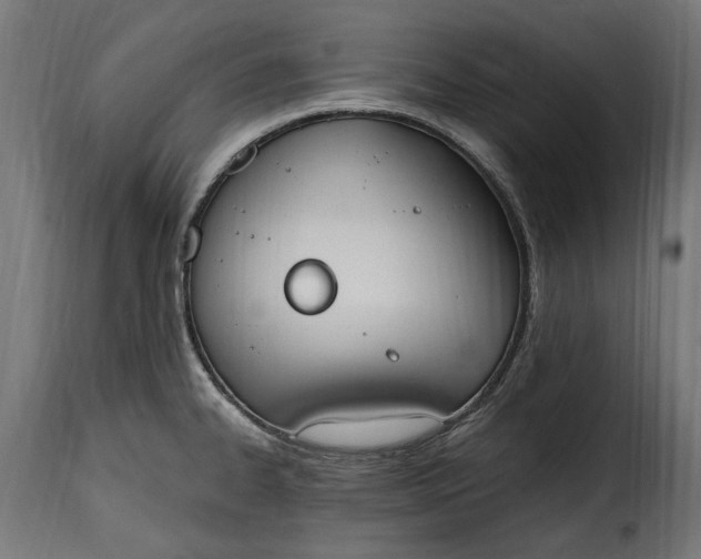 X0000115631334200911241638