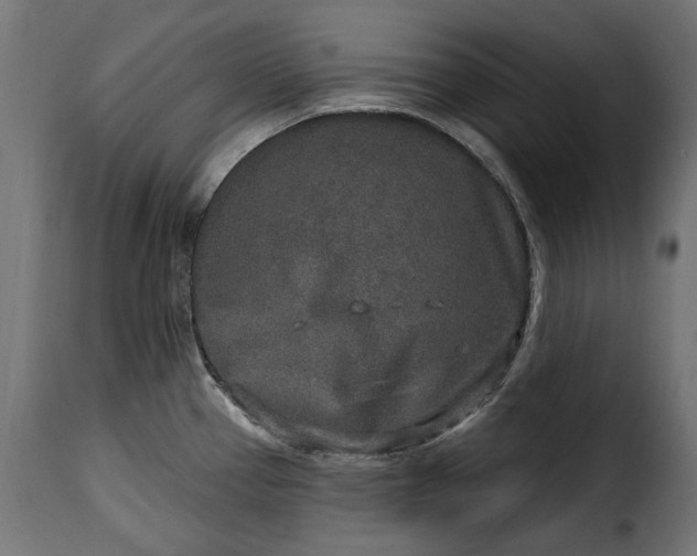 X0000115631337200911241638