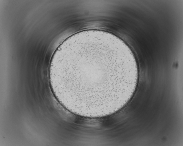 X0000115631338200911241638